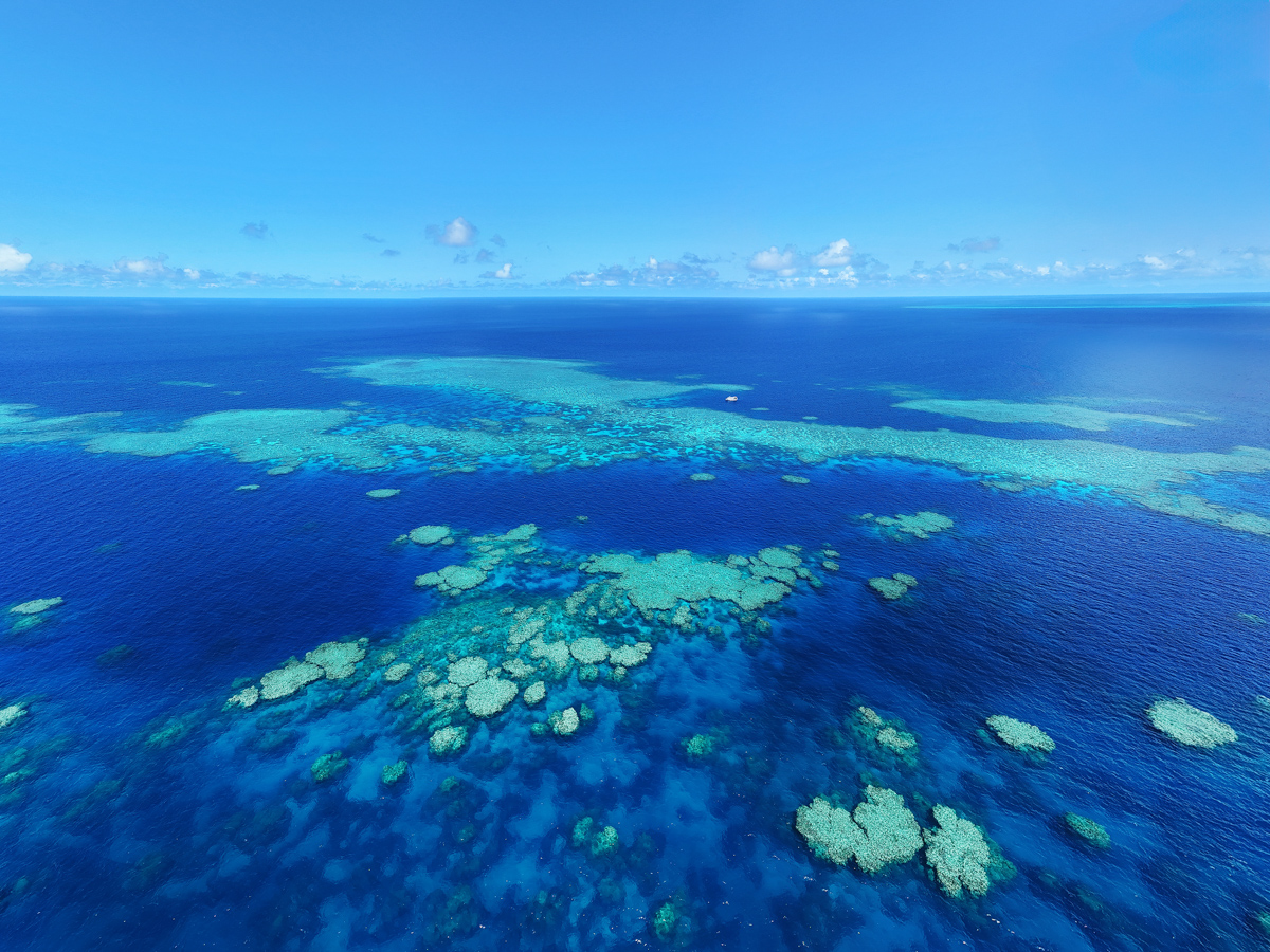 CORAL SEA NEWS – DECEMBER 2025